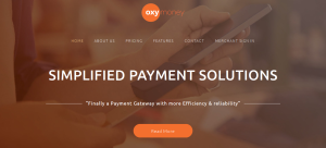 web designing company in Mohali-oxy money