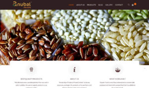 web design India-anubal food head