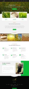 indo grain food-techindustan