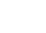 Vector